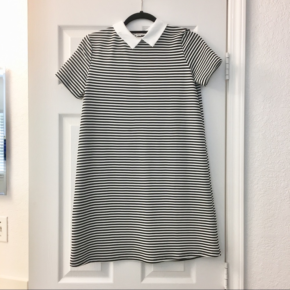 Zara Collar Dress - Black & While - Small - Picture 2 of 6